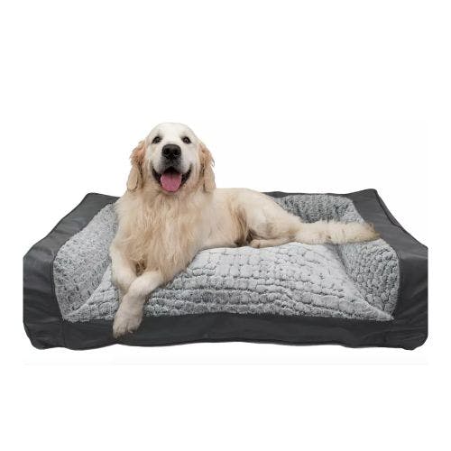 Raised dog bed argos best sale