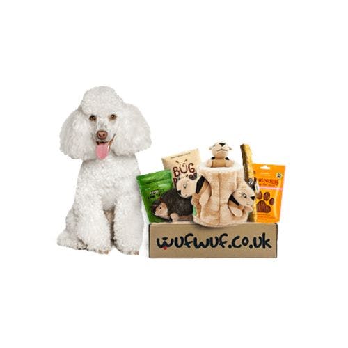 Cheapest dog box subscription best sale