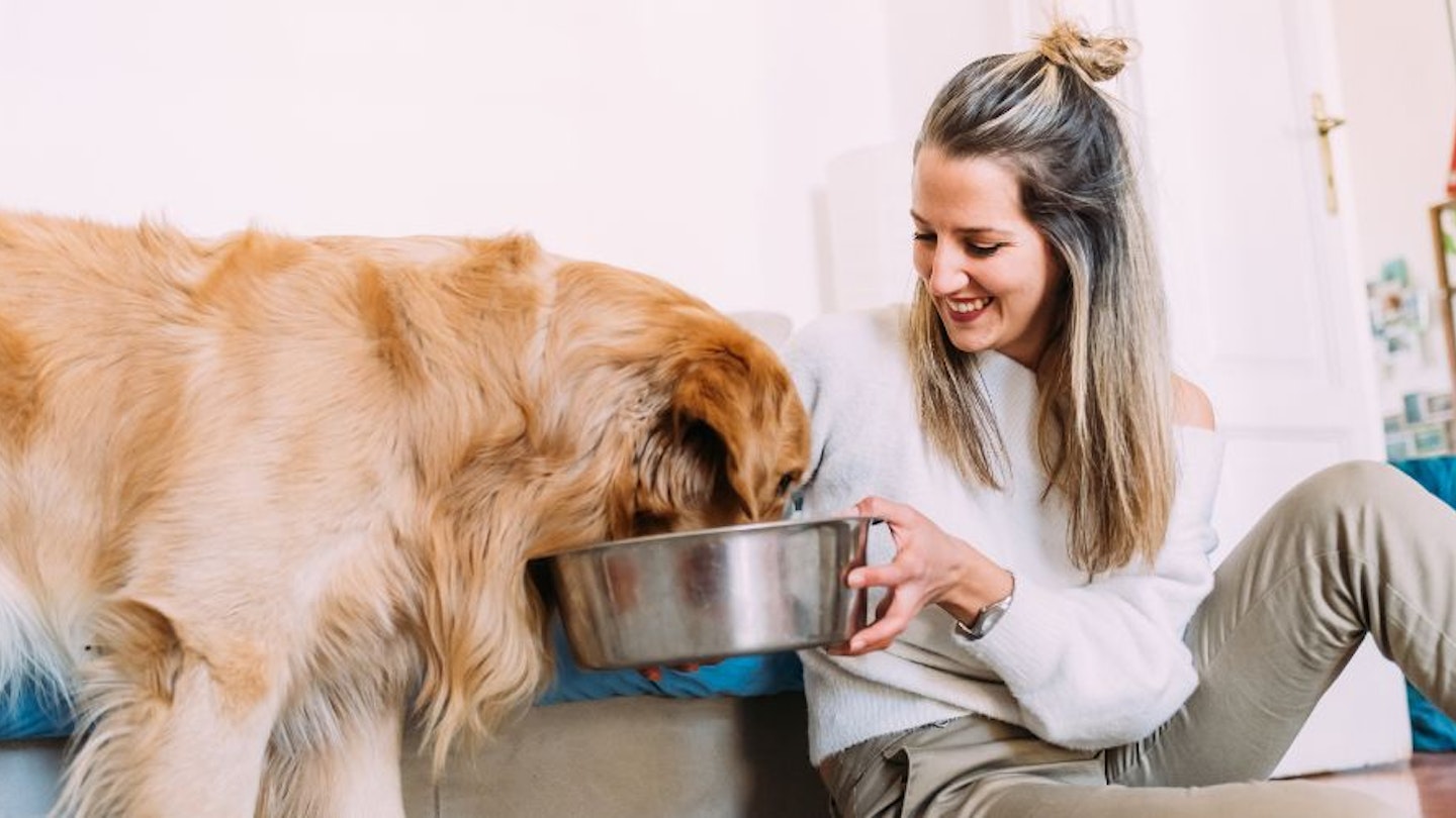 A woman feeding her overweight dog dog food