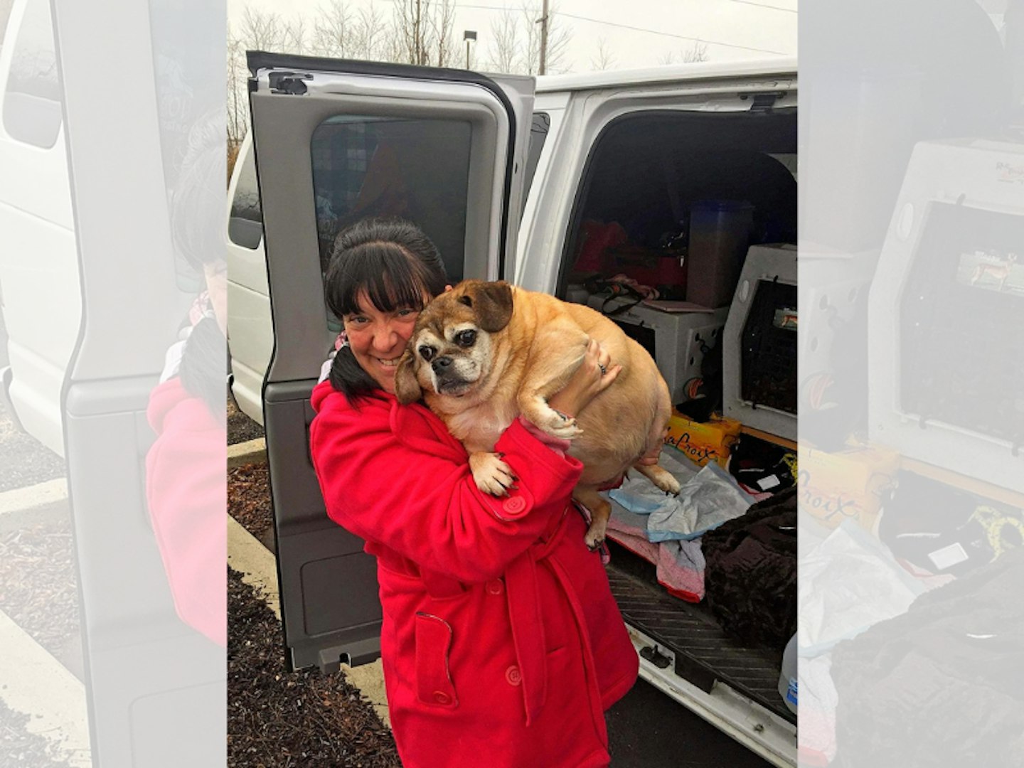 Woman carrying an overweight pug out of a van