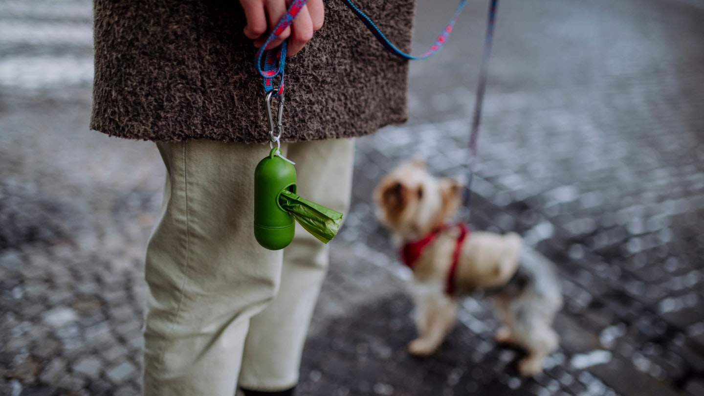 Biodegradable dog poop bags to do-do better