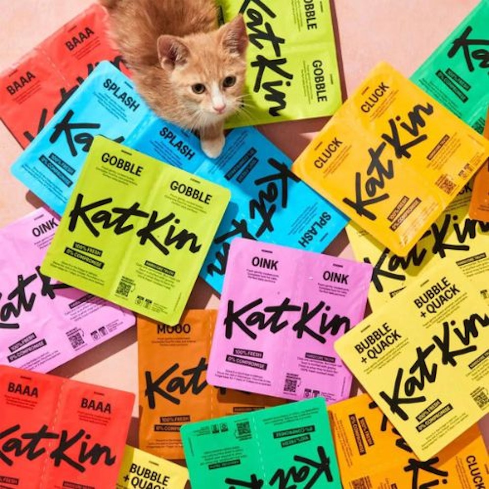 Best cat food for overweight cats in the UK