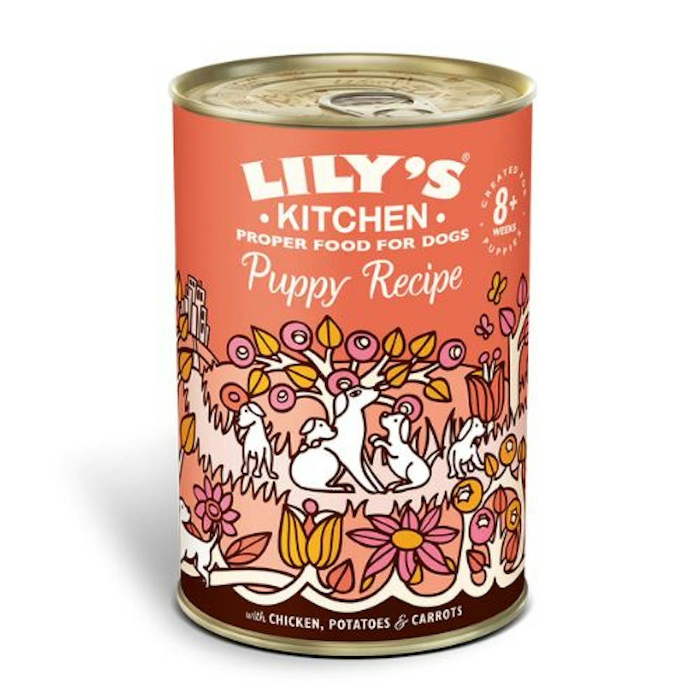 Lily's Kitchen Complete Wet Puppy Food Chicken Dinner 400g