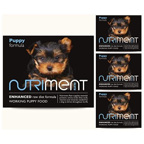 Best raw dog food in the UK Pets Take A Break