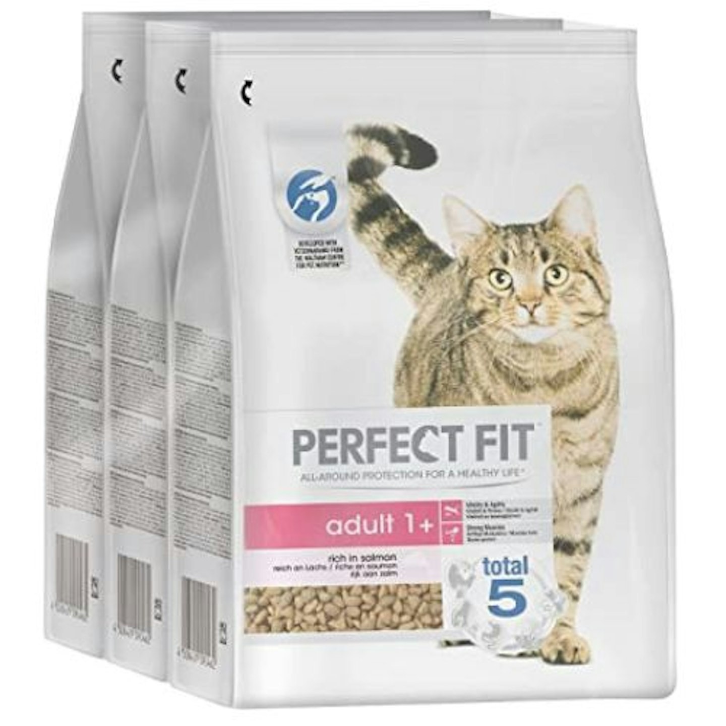 Perfect Fit Cat Complete Dry Adult 1+ Salmon