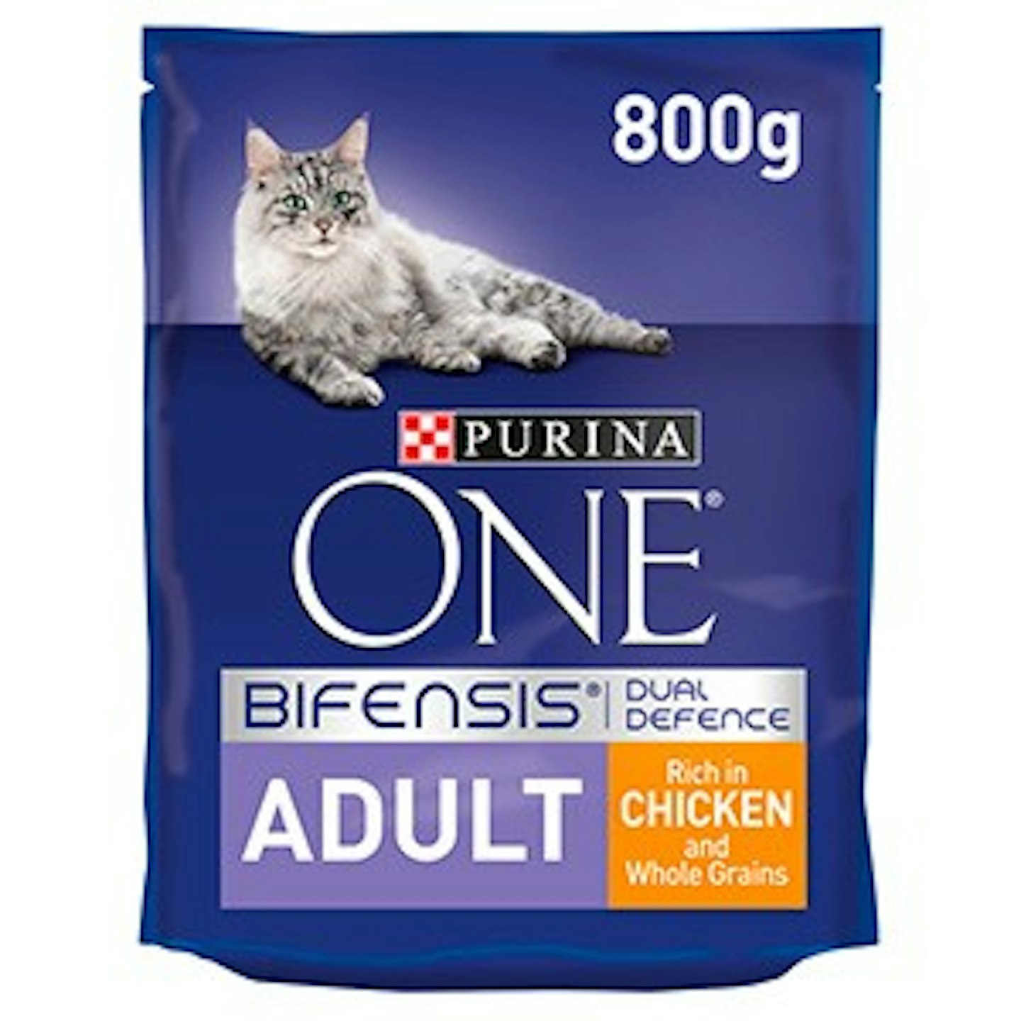 Purina ONE Dry Adult Cat Food Chicken and Wholegrains 