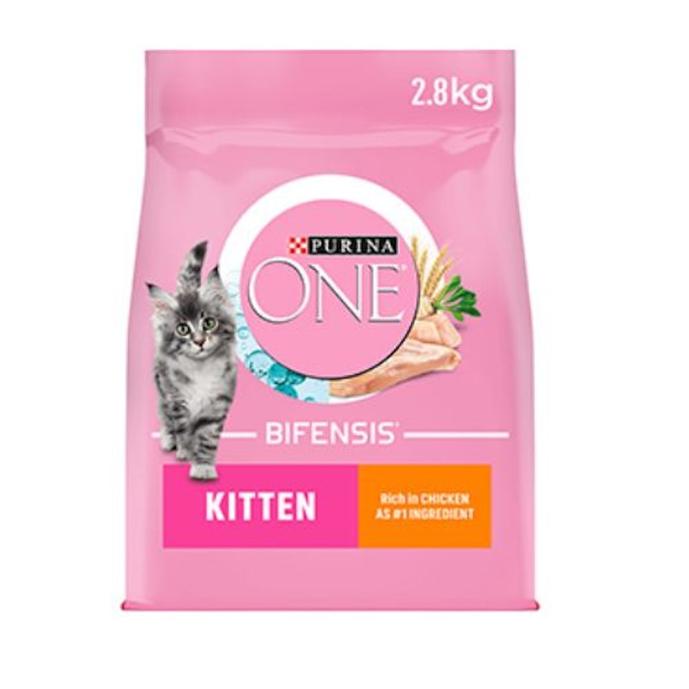 The best dry cat food to keep your cat full 2024