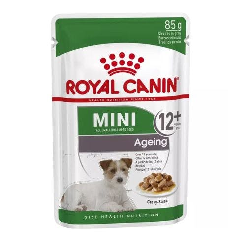 Best food for hot sale small senior dogs