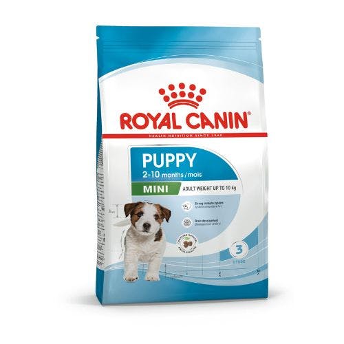 Best dry dog outlet food for pregnant dogs