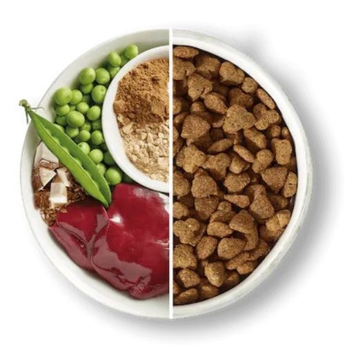 Best Cockapoo puppy food for bundles of fun Pets Take A Break