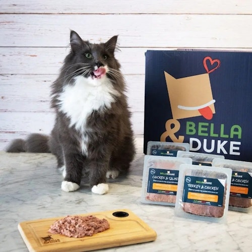 Best indoor cat food available in the UK Pets Take A Break