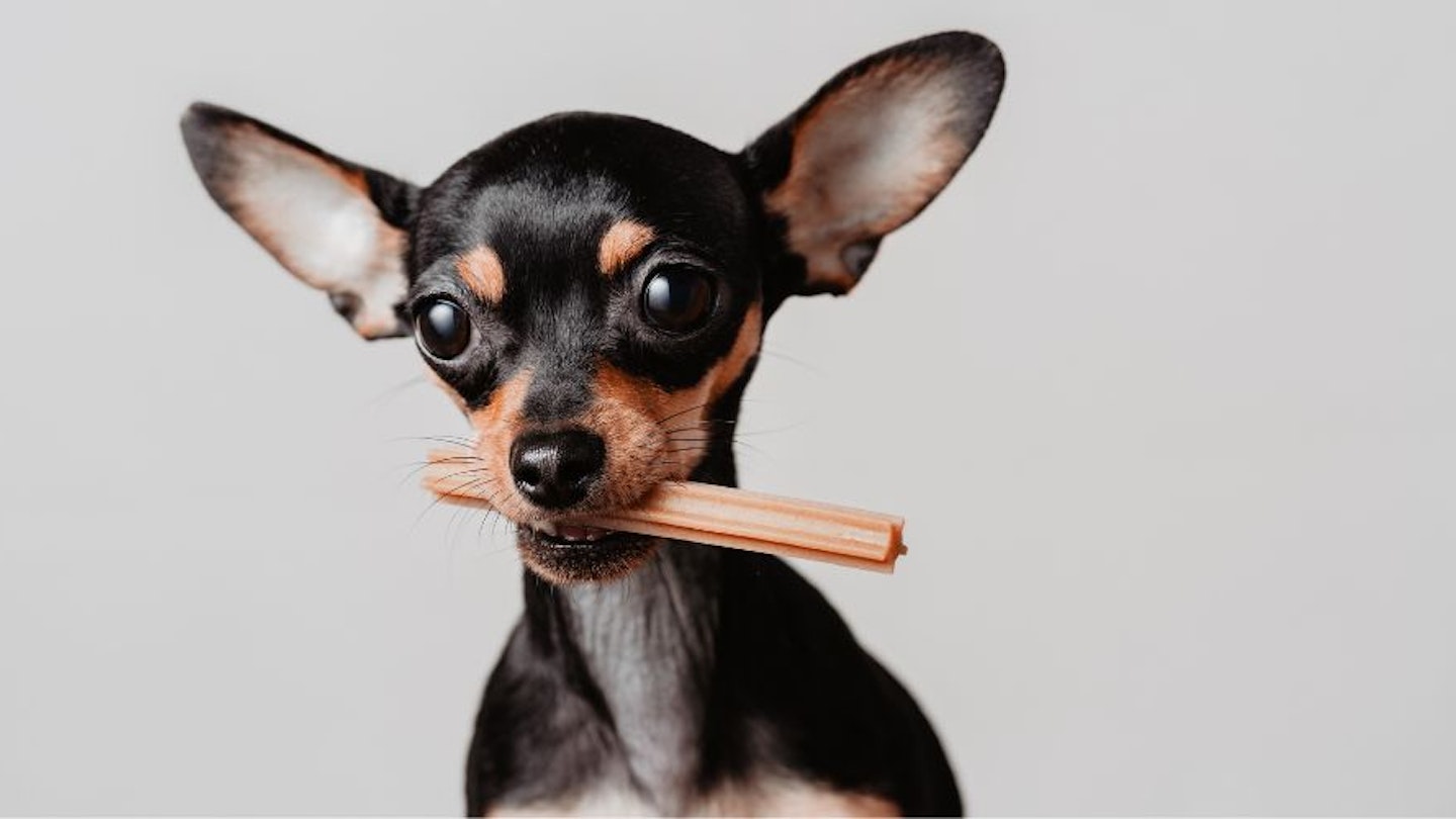 Dental sticks for dogs