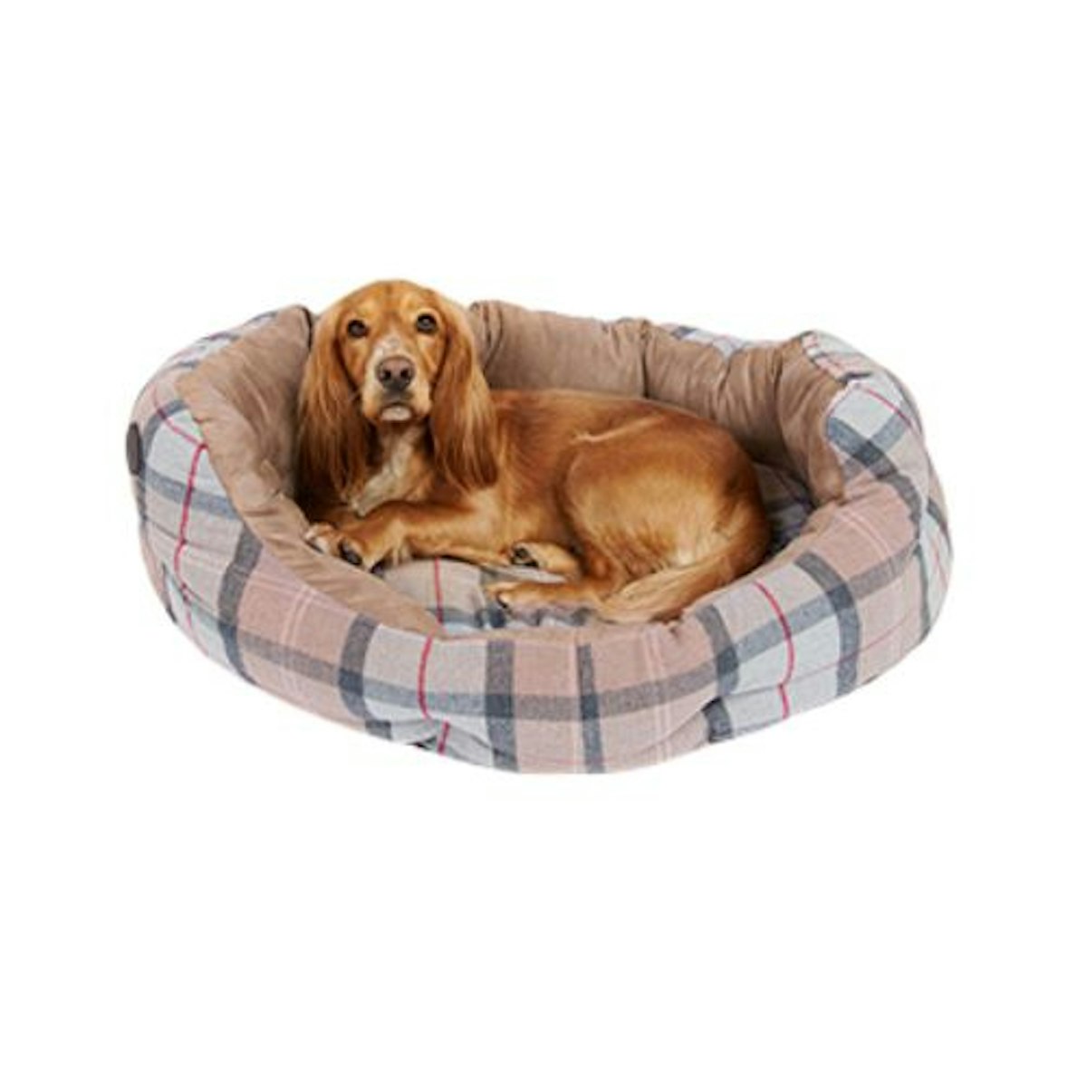Best Luxury Dog Beds For Your Pampered Pooch