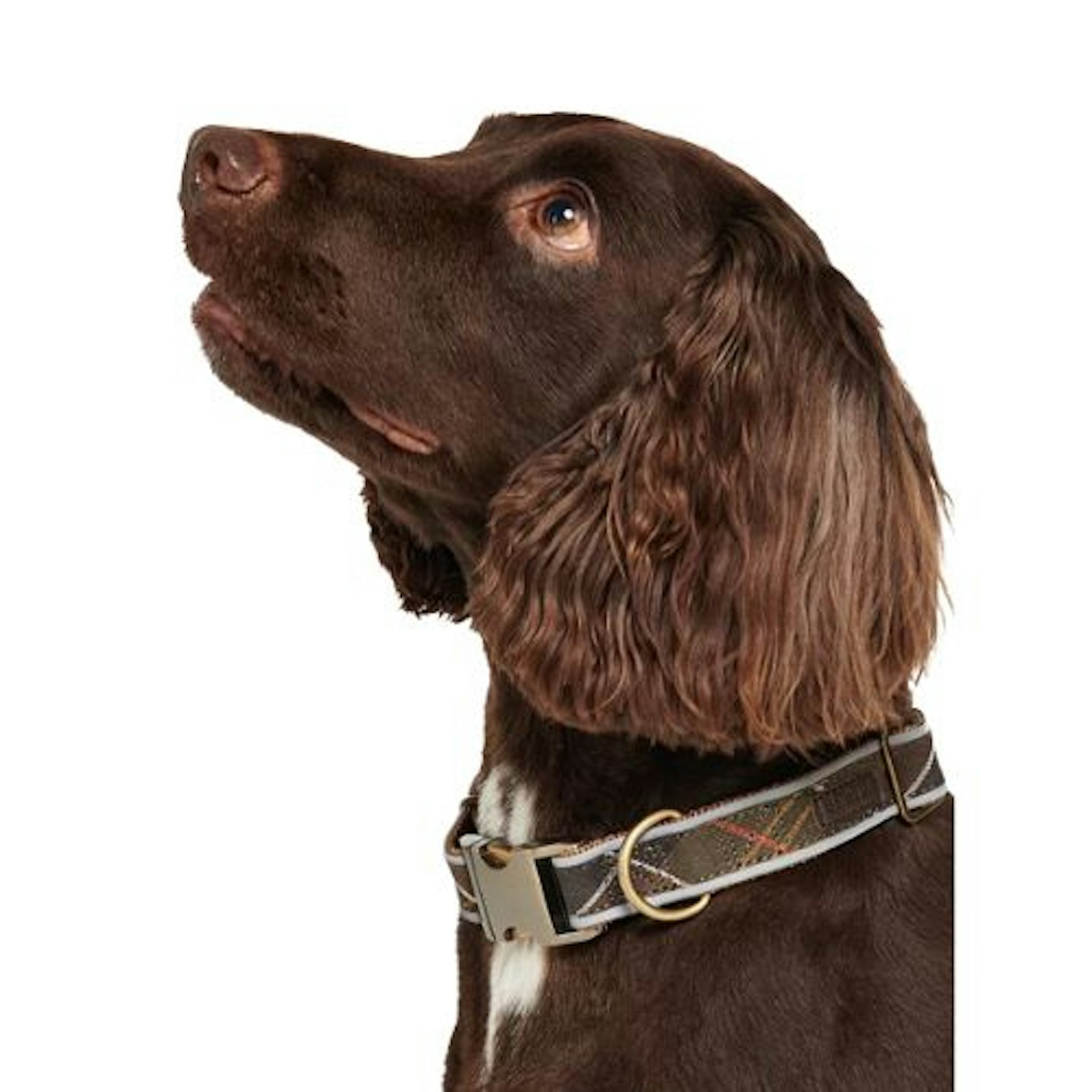 Barbour Reflective Tartan Dog Collar