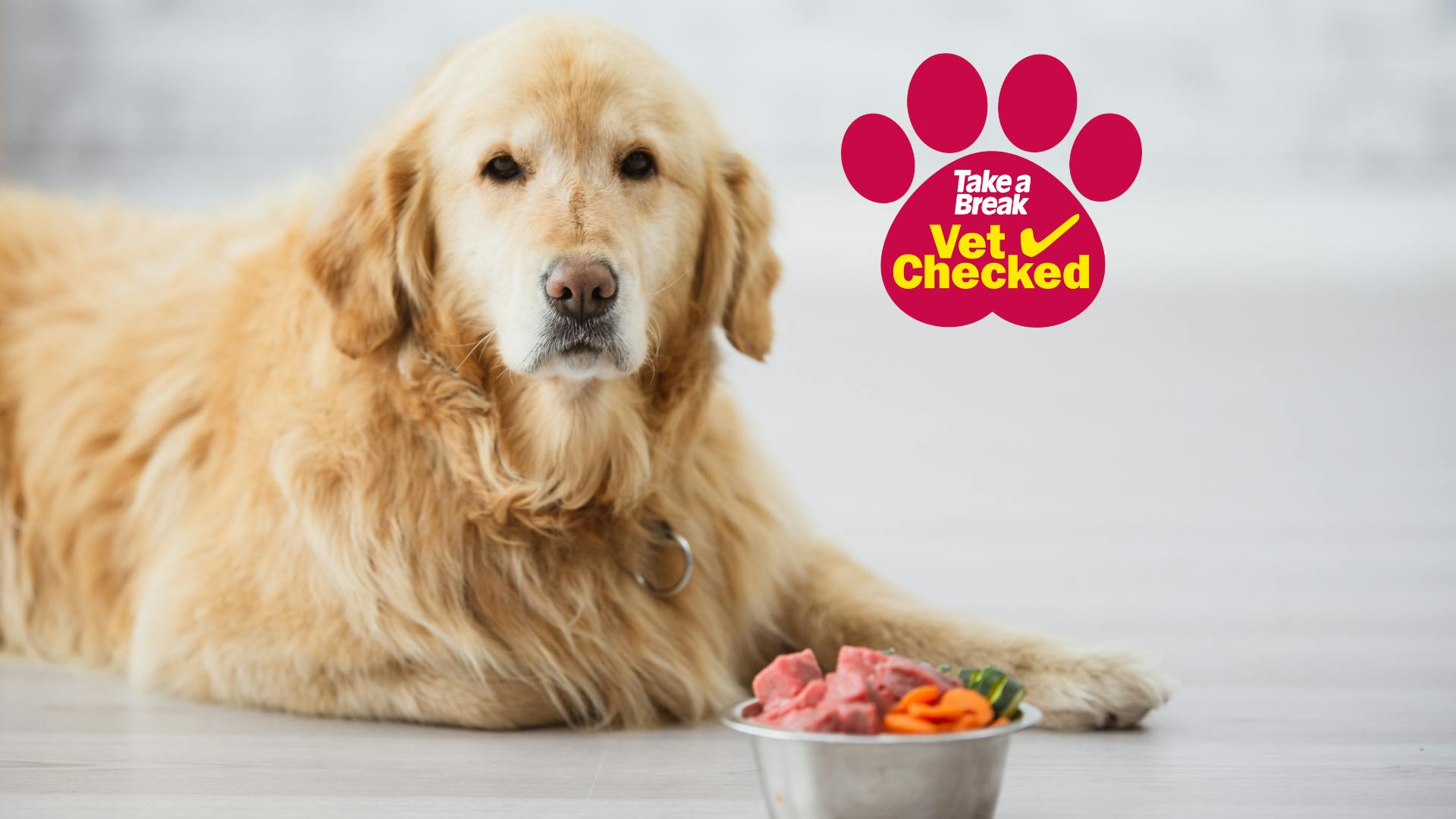 Best raw dog food UK top brands and vet advice