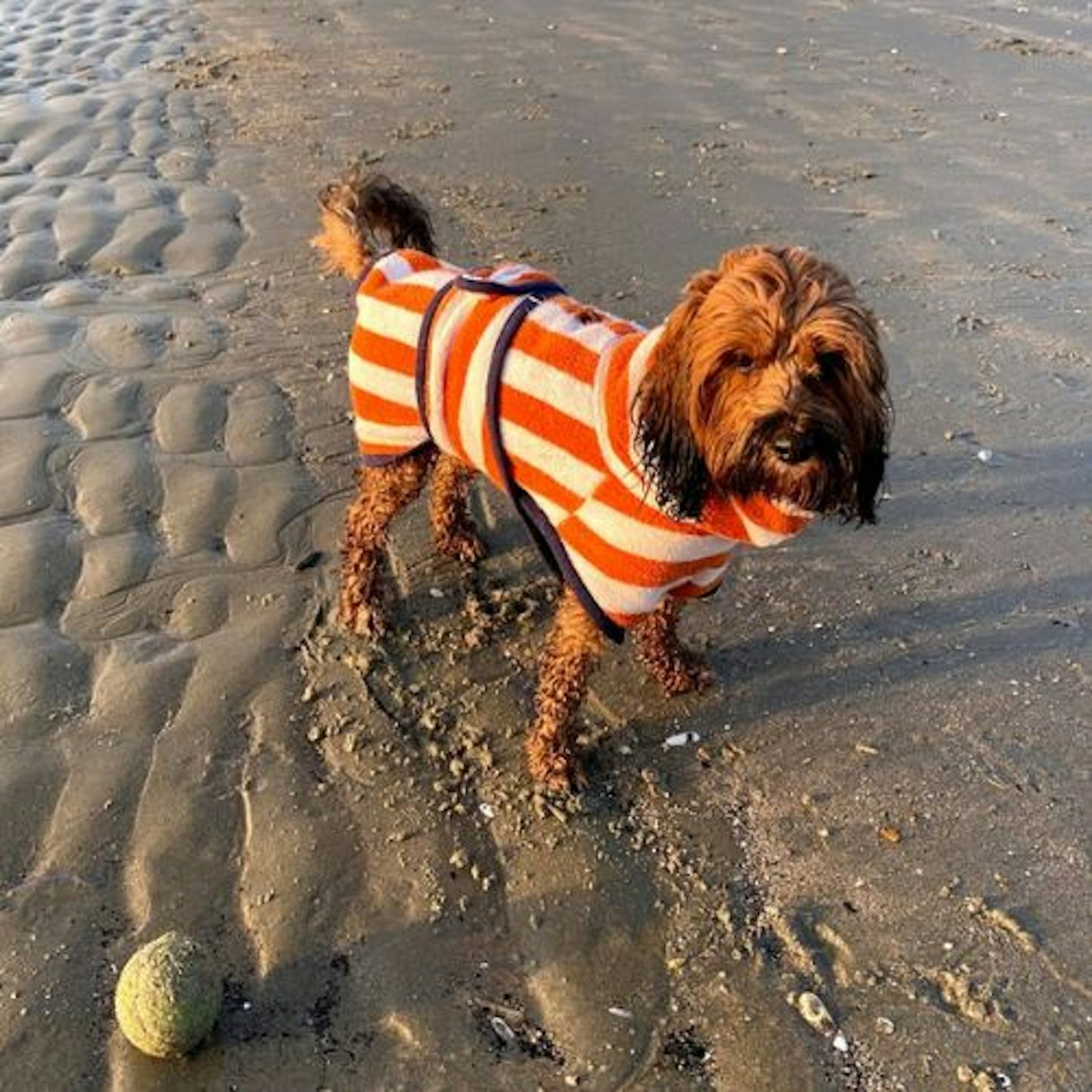 Harbour Hounds Striped Dog Drying Robe