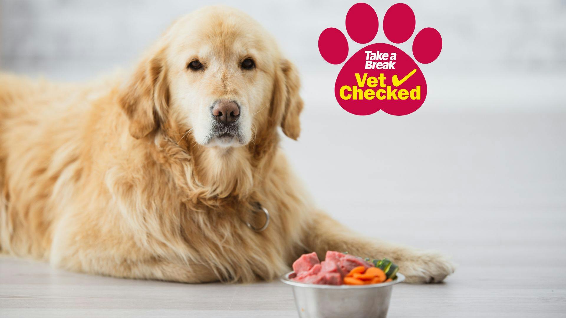 Best raw dog food UK top brands and vet advice