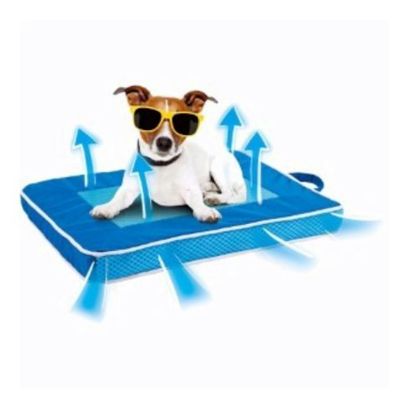 All For Paws Chill Out Fresh Breeze Cooling Dog Mat