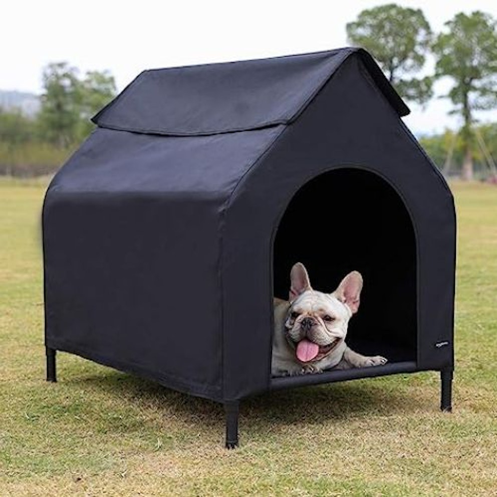 The best dog kennels for outdoors