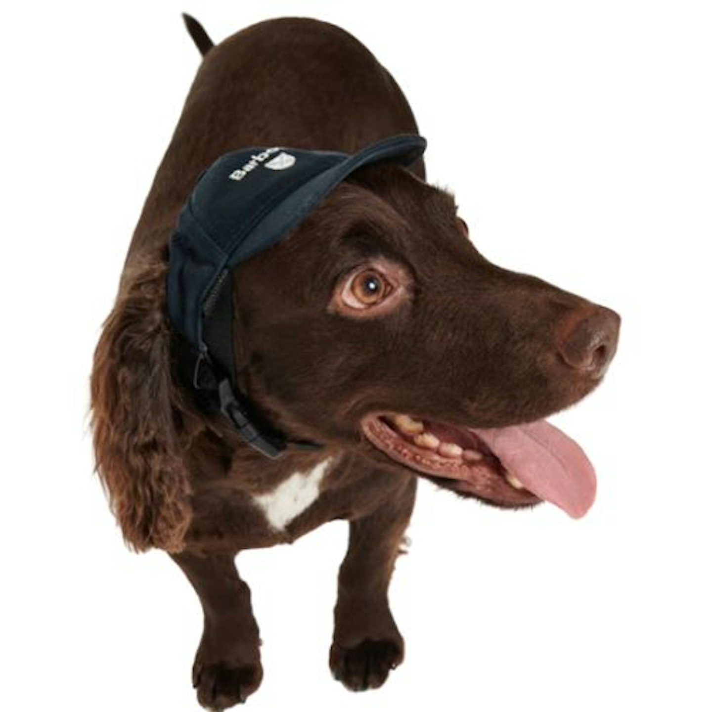 Barbour Dog Cascade Cap
