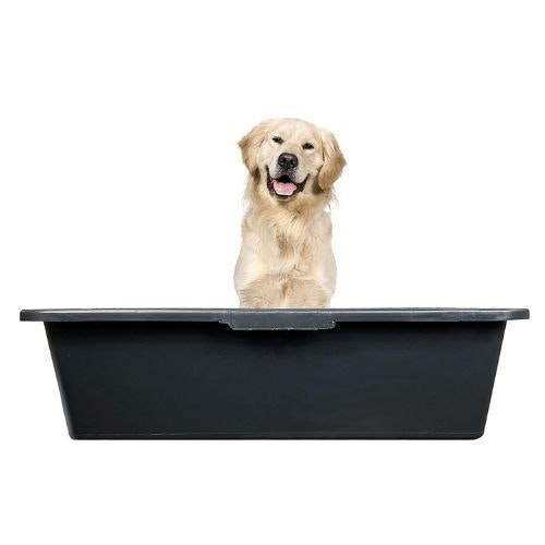 Best dog baths to leave your pooch squeaky clean Pets Take A Break