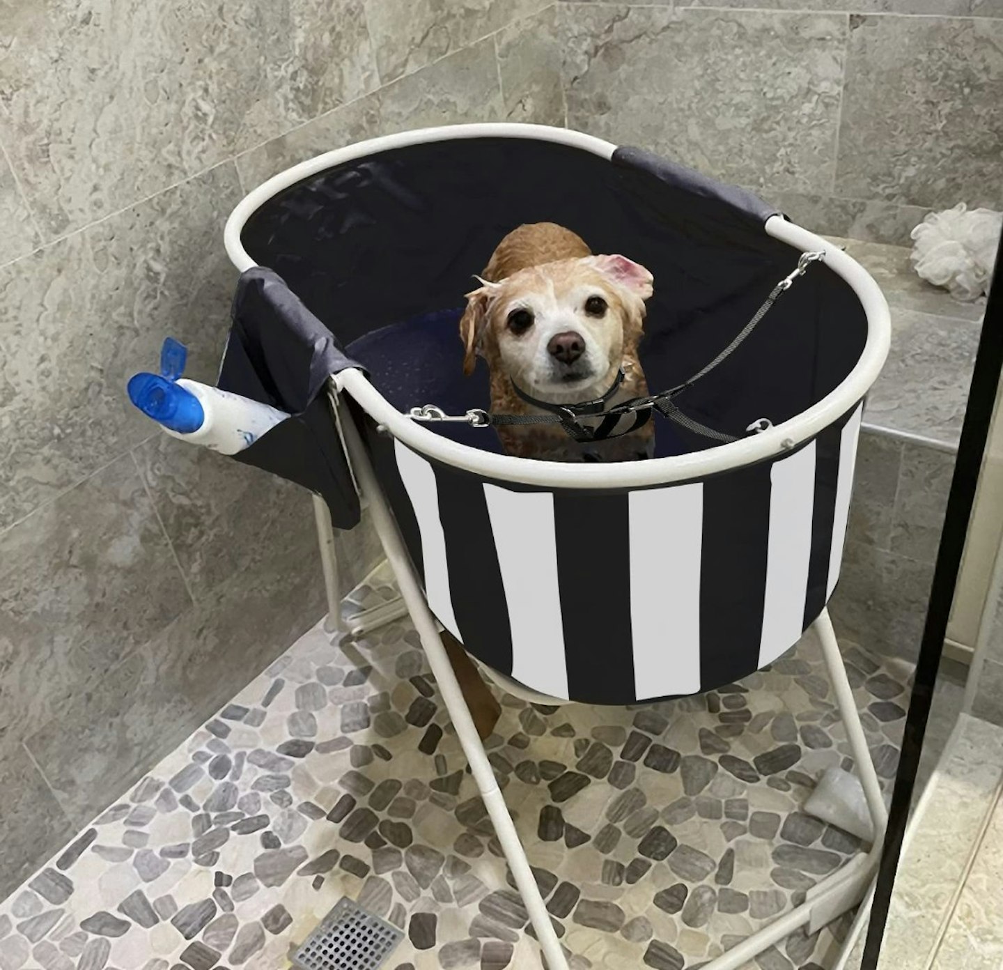 Elevated Dog Bath Tub, Dog Bathing Station