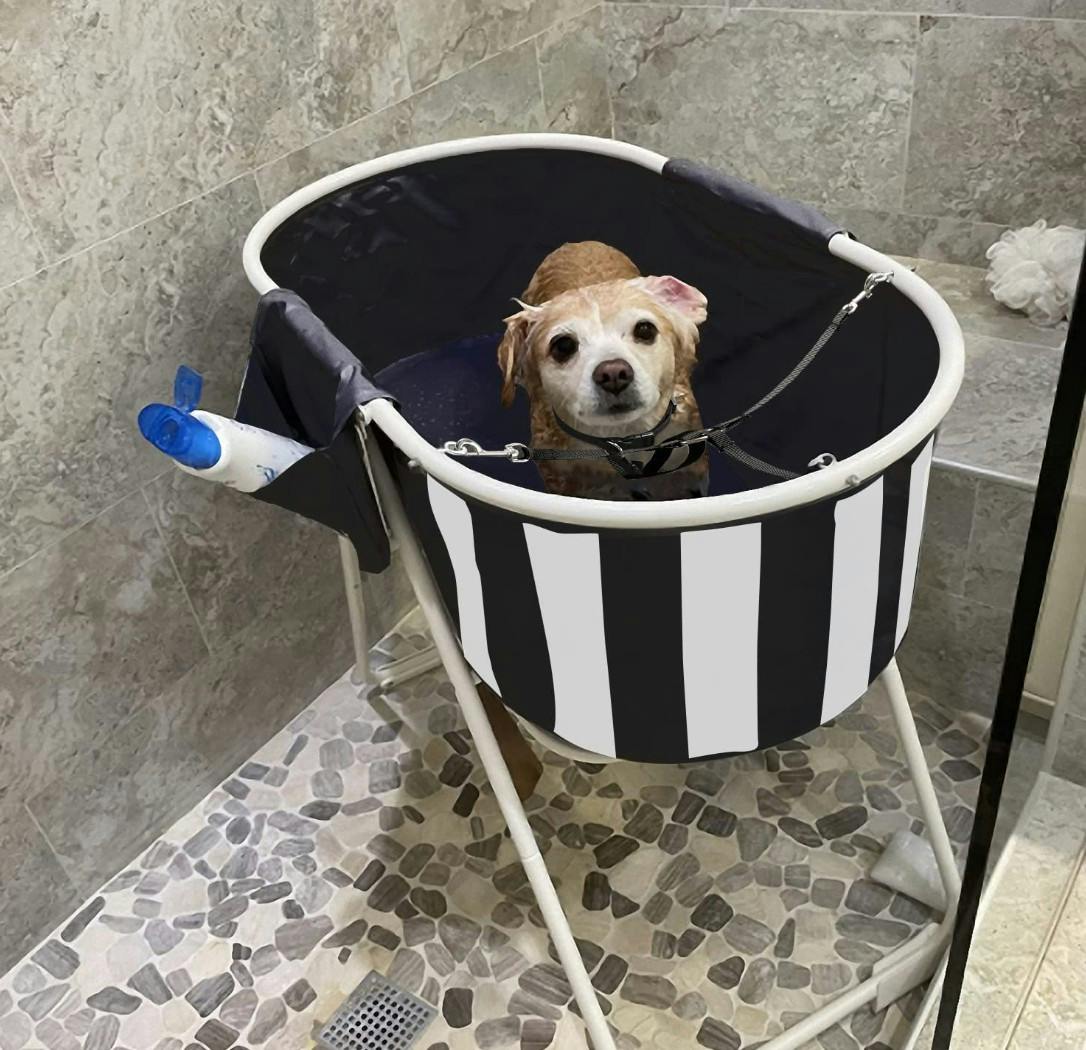 Elevated dog clearance washing station