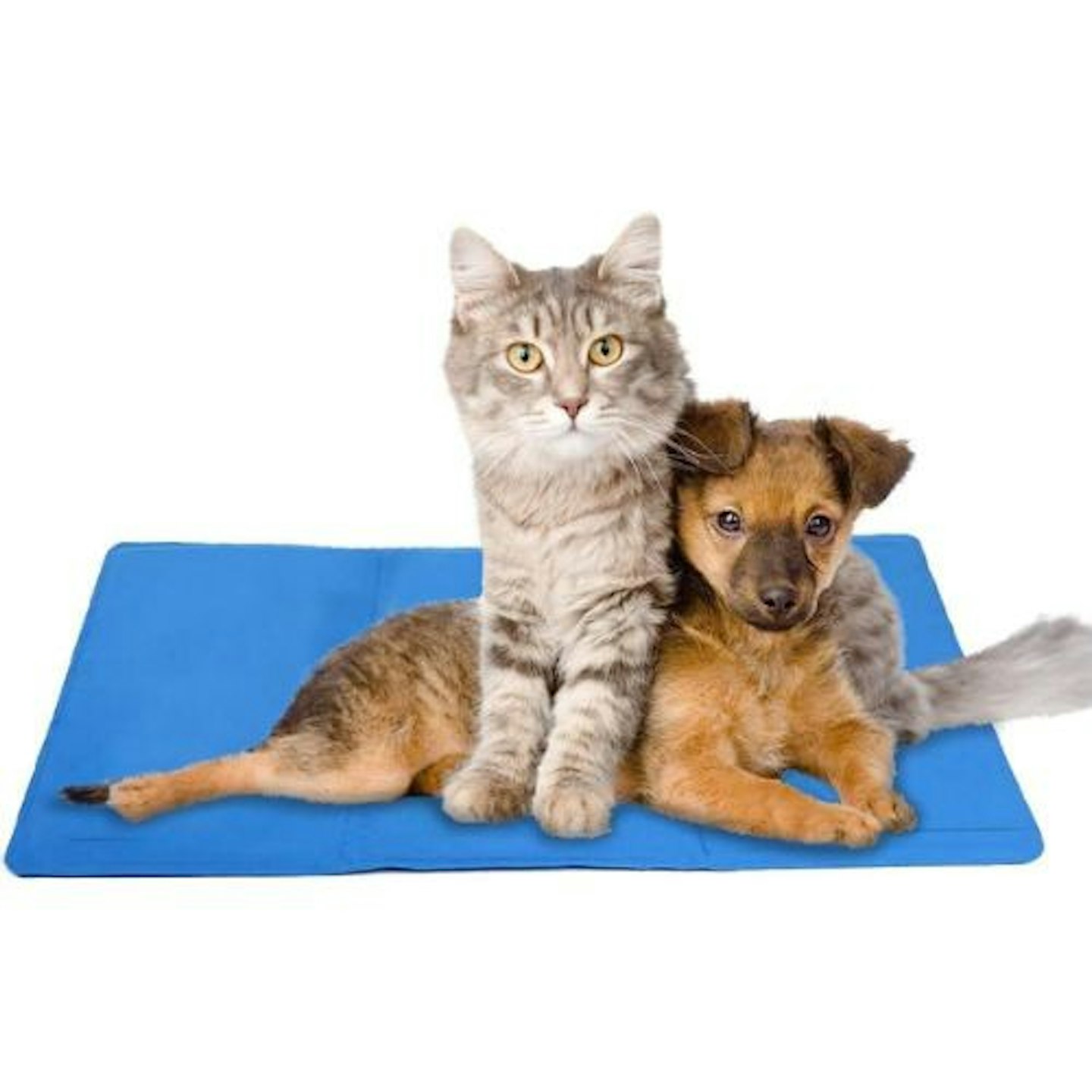 Mega Jumble Self Cooling Gel Pet Dog Cat Cool Mat