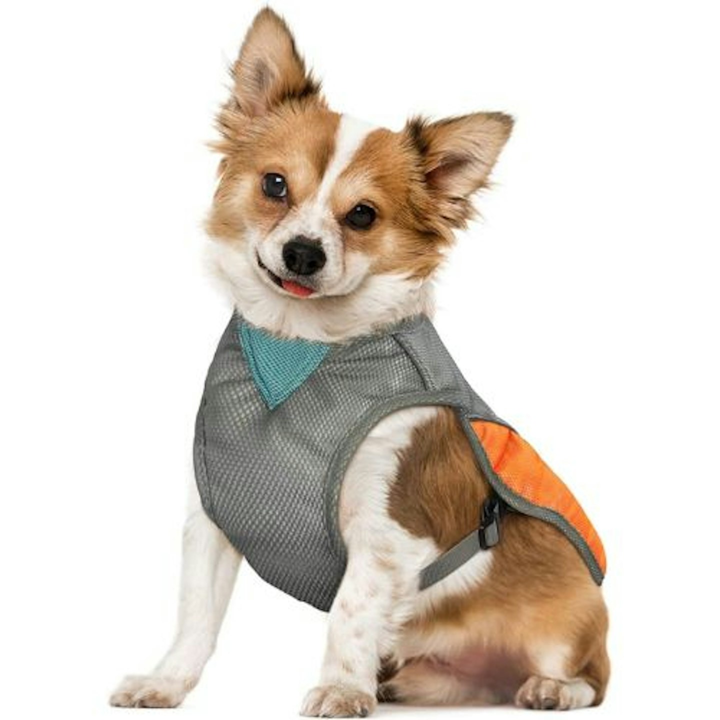 POPETPOP Dog Cooling Vest