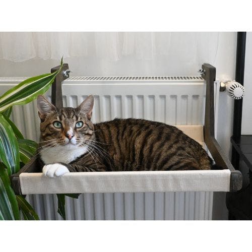 Pets at home clearance radiator cat bed