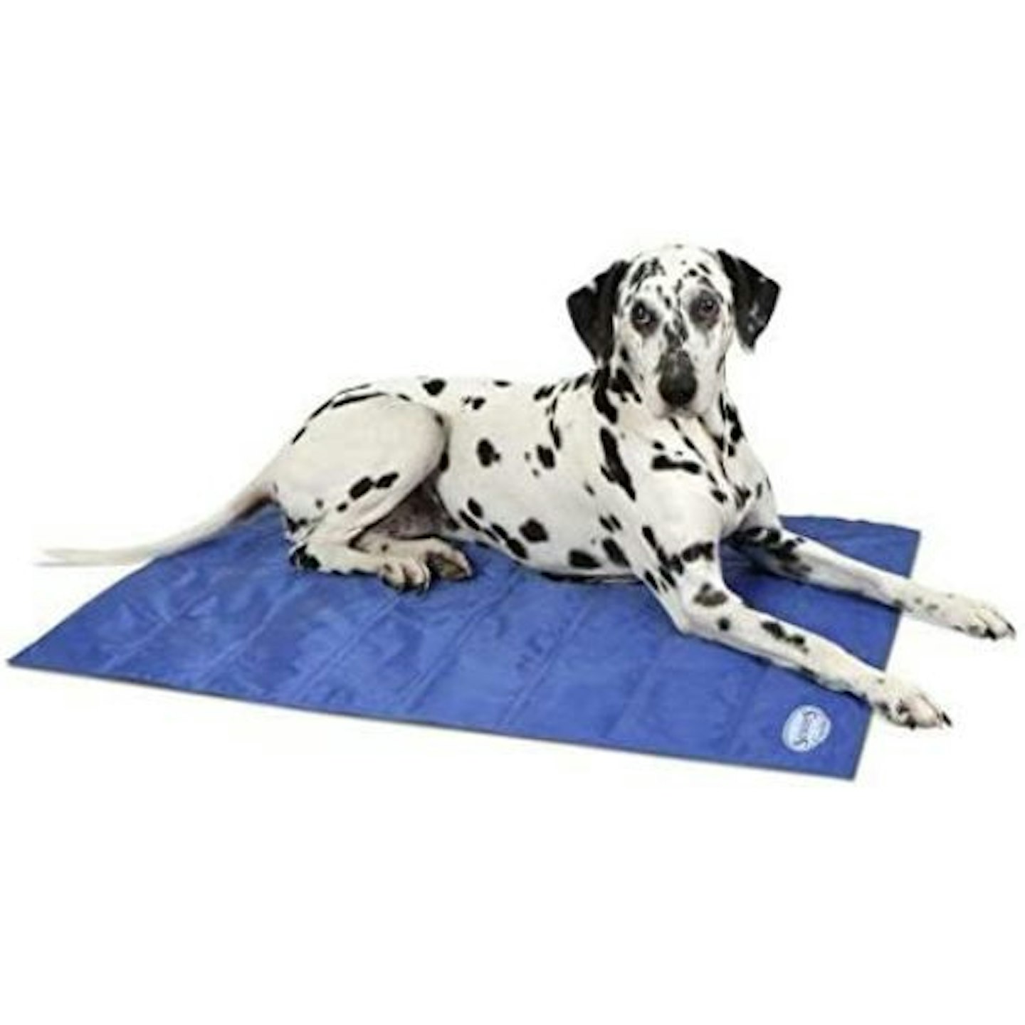 Best Cooling Mats For Dogs