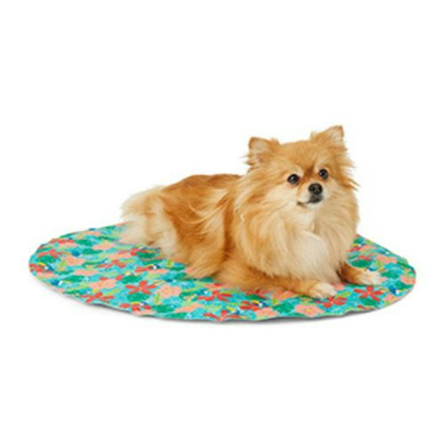 Sunny Daze Round Printed Cooling Mat for Dogs