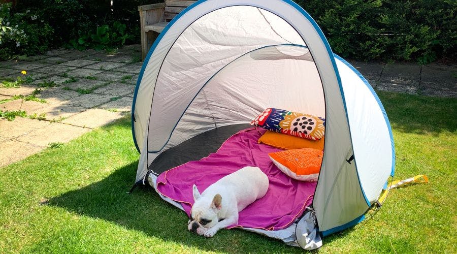 Dog shade outlet tent