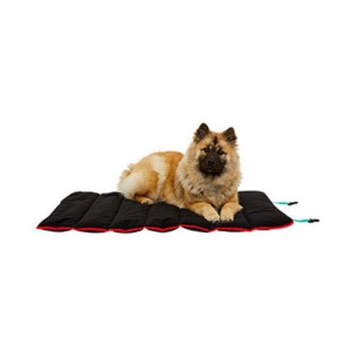 Best travel hotsell dog bed