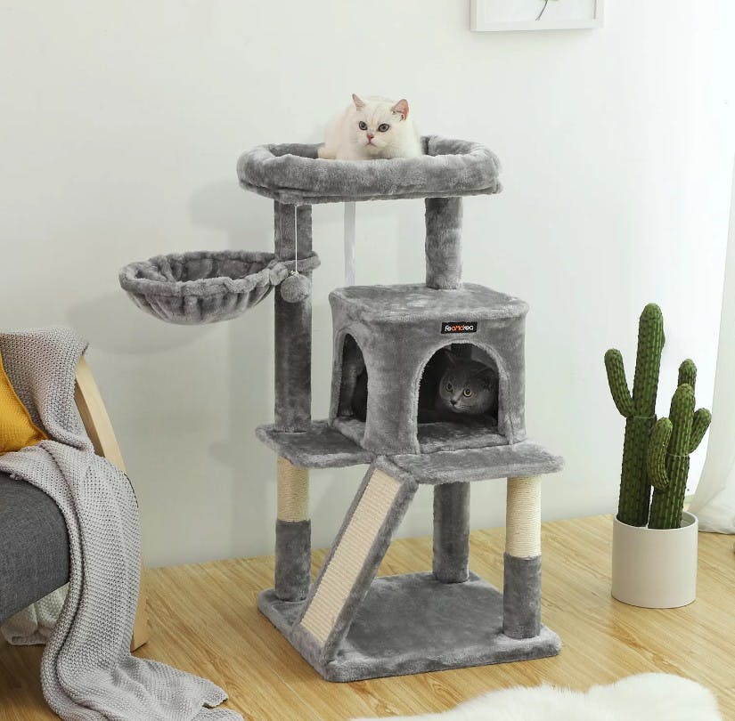 Best cat tree for deals large cats