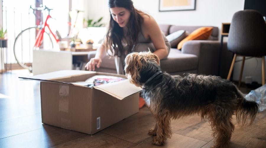 Best dog food subscription for delivery to your door