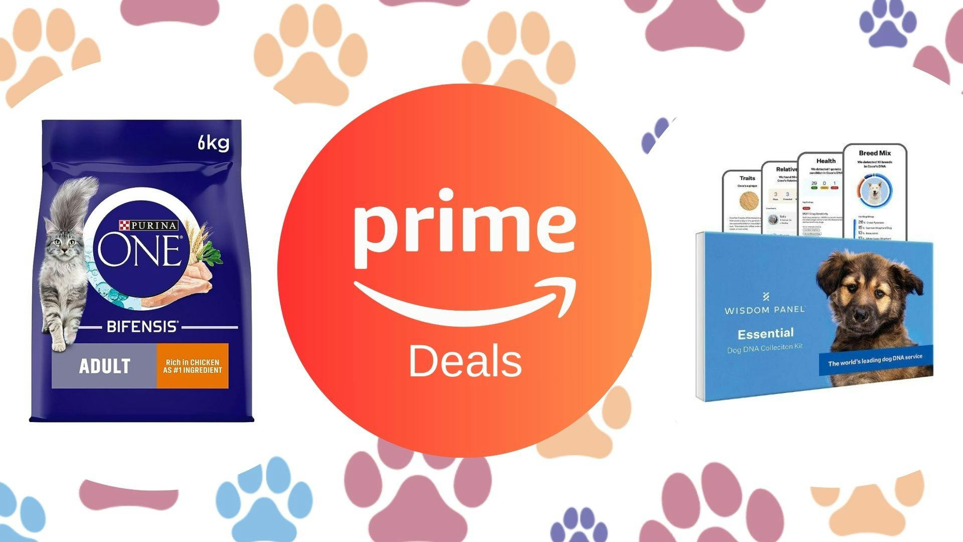Pamper your pets with Amazon deals