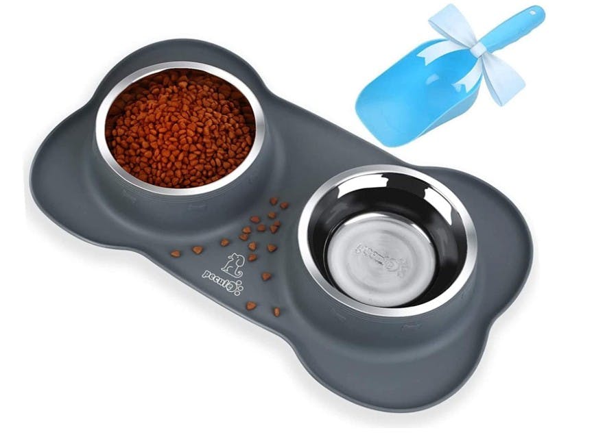 Best food outlet bowls for puppies