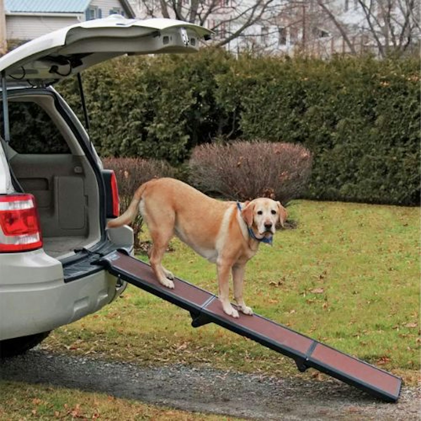 Pet Gear Trifold Travel Dog Ramp