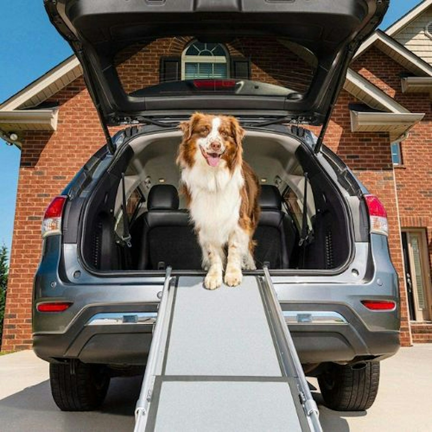 PetSafe Happy Ride Telescoping Dog Ramp