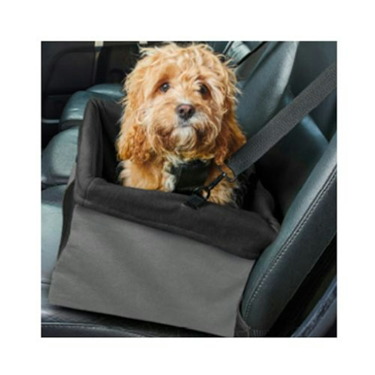 Pets at Home In-Car Dog Booster Seat
