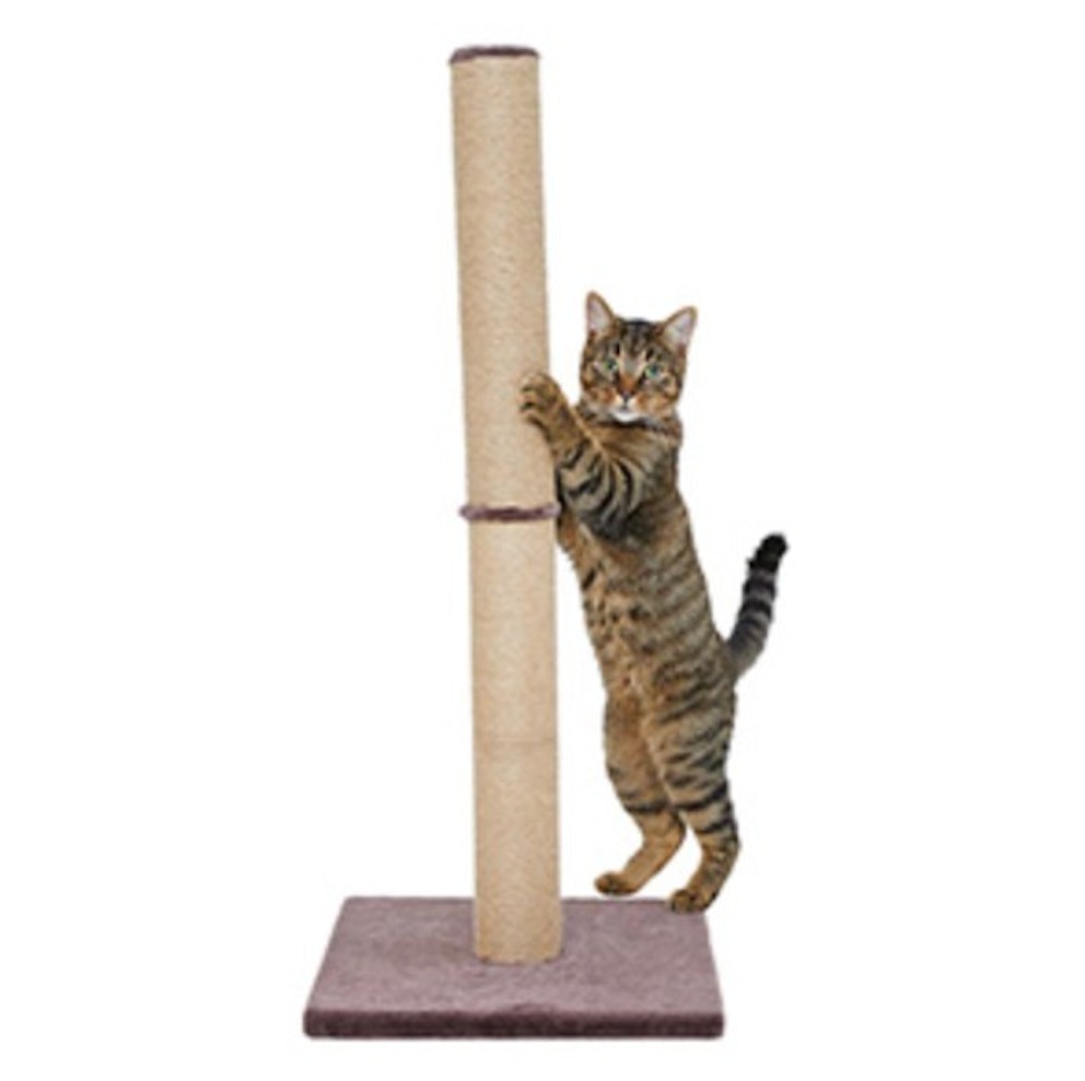 The best cat scratching posts to save your furniture 2024