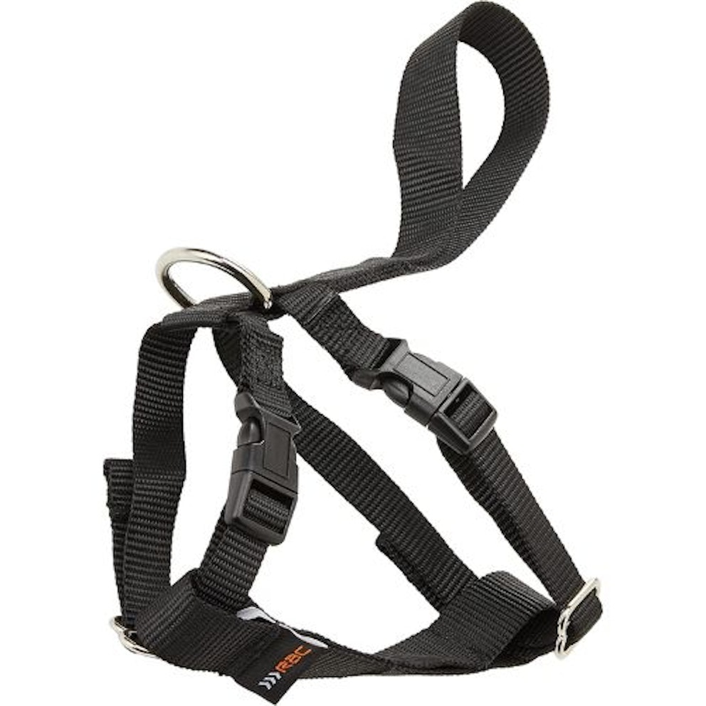 Best dog car harness for a smooth and secure ride