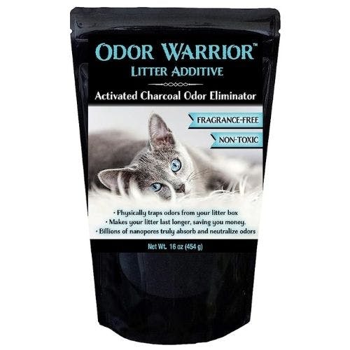 Best cat litter outlet to keep smell down