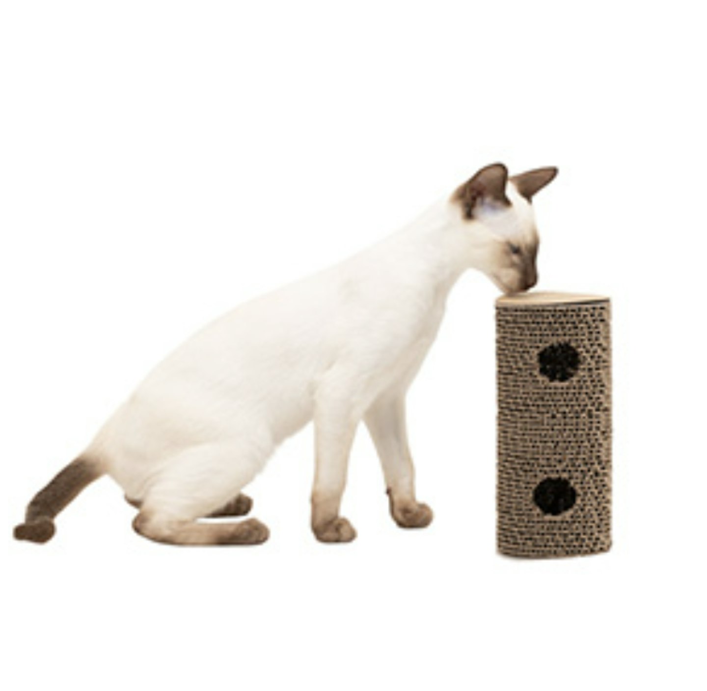 Willow's Scratch Play and Roll Cat Toy