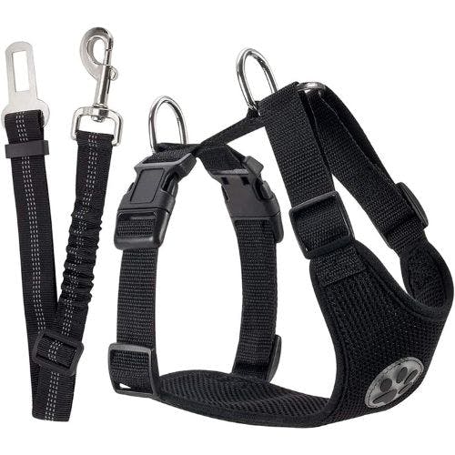 Best car outlet harness