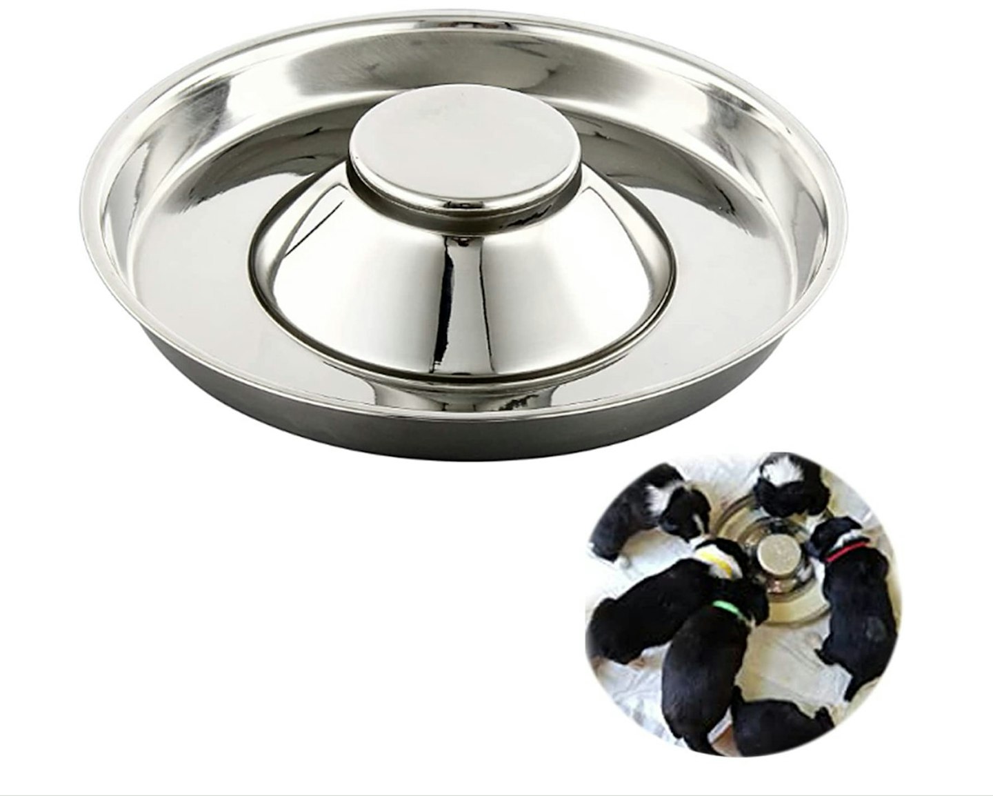 https://images.bauerhosting.com/marketing/sites/22/2023/07/Yudansi-Stainless-Steel-Puppy-Weaning-BowlsCat-Bowls-for-Food-Water.jpg?auto=format&w=1440&q=80