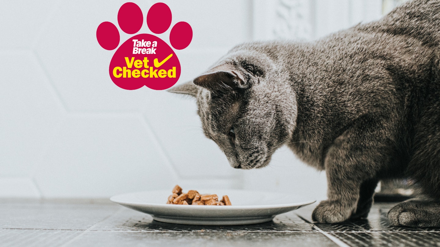 Best Dry Cat Food For Indoor Kittens Best Dry Cat Food For Indoor Cats Vet Recommended Store