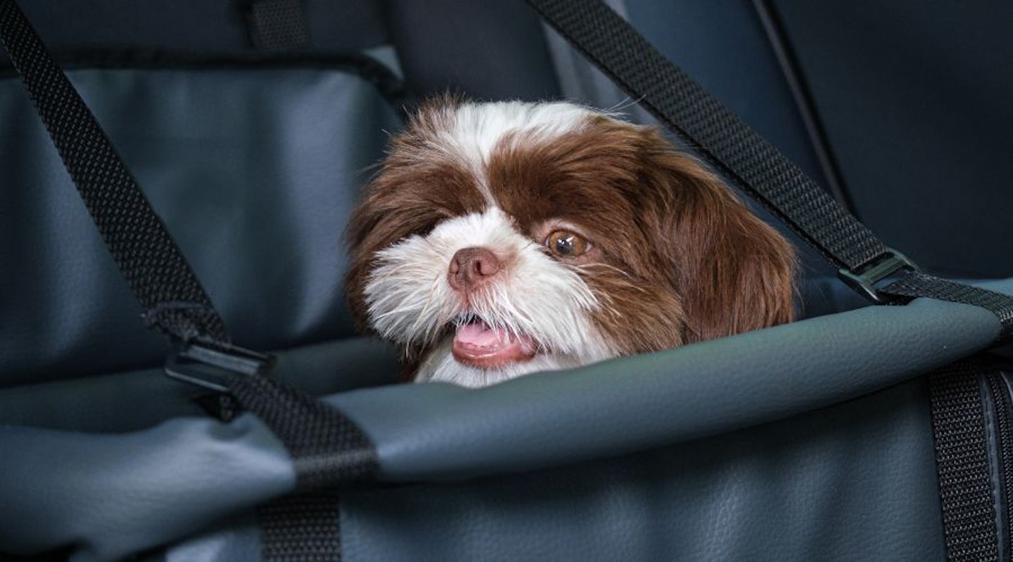Kurgo Car Pet Booster Seat for Dogs or Cats