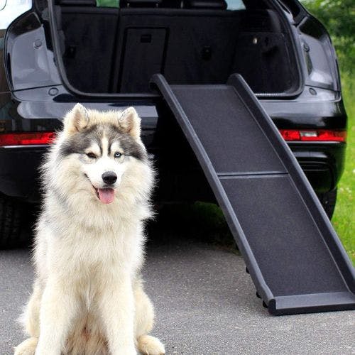 Dog hotsell boot ramp